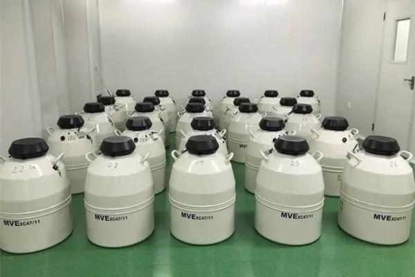 Vừa sinh đã “10 tuổi”: Sự thật khó tin trong y học - ảnh 4