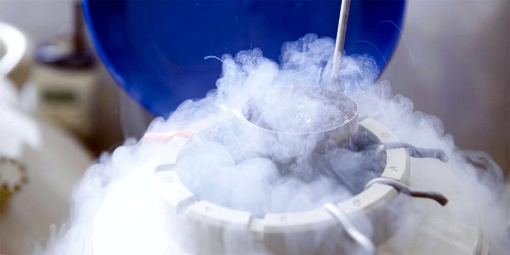 Vừa sinh đã “10 tuổi”: Sự thật khó tin trong y học - ảnh 5