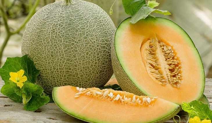 Vào đầu mùa hè nên ăn gì? 5 loại trái cây “tính kiềm” giúp giải nhiệt, giữ ẩm cho cơ thể cực hiệu quả - ảnh 3