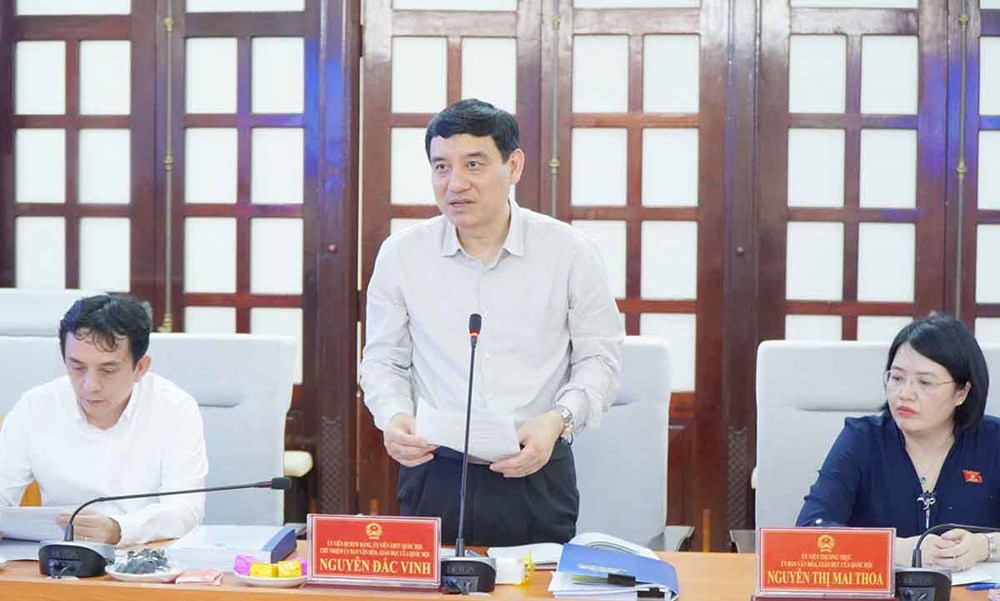 Đảm bảo phát triển toàn diện, hài hòa giữa các hoạt động văn hóa - ảnh 1