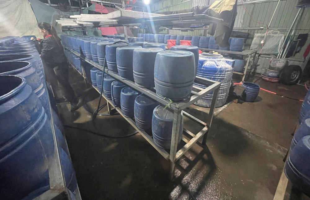 Phát hiện cơ sở dùng hóa chất cấm để sản xuất giá đỗ - ảnh 1