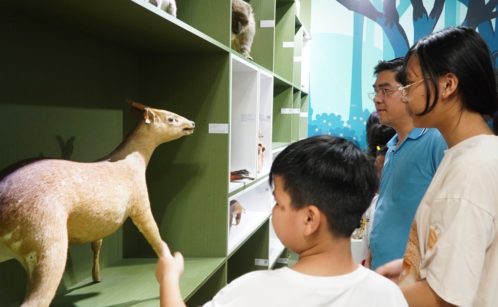 Du khách chen chúc tham quan Bảo tàng Thiên nhiên duyên hải miền Trung - ảnh 6
