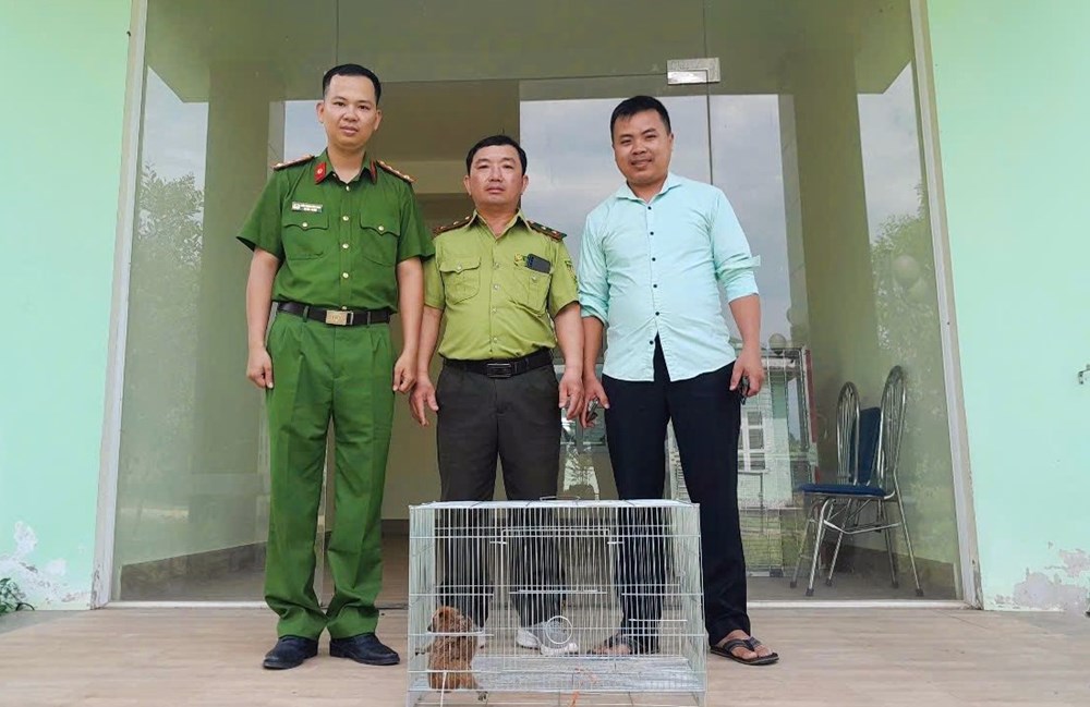 Thành phố Huế: Nhiều người dân tự nguyện bàn giao động vật hoang dã, quý hiếm - ảnh 2