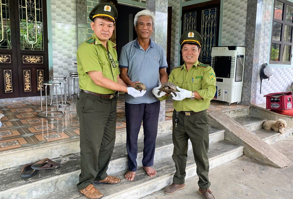 Thành phố Huế: Nhiều người dân tự nguyện bàn giao động vật hoang dã, quý hiếm - ảnh 1