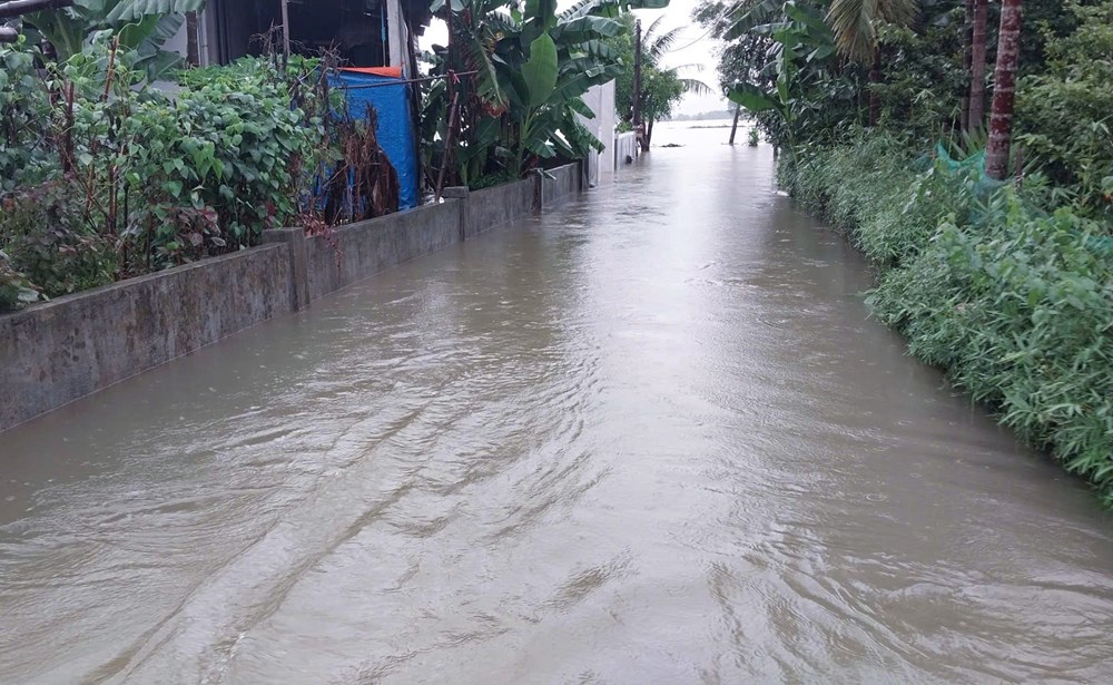 Đi đánh cá giữa ruộng, 2 anh em ruột bị nước lũ cuốn tử vong - ảnh 2