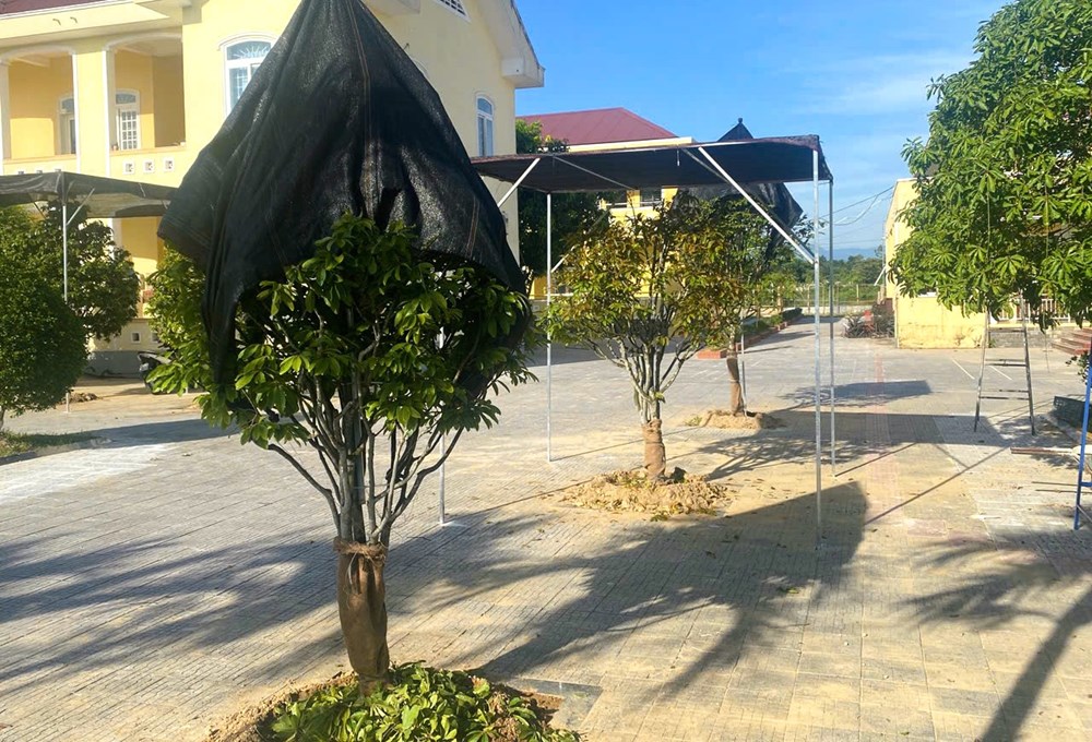 Sẽ xem xét kỷ luật những người liên quan - ảnh 1