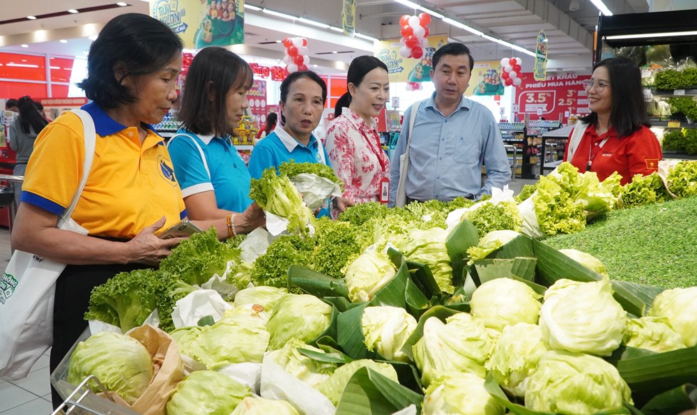 Phát động “Tháng không túi nilon” tại các siêu thị ở Huế - ảnh 1