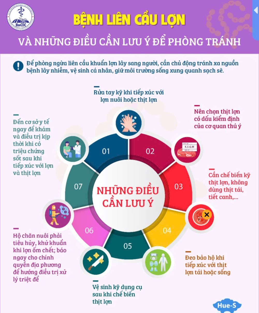 Huế: 42 ca nhiễm liên cầu lợn, 4 trường hợp tử vong - ảnh 2