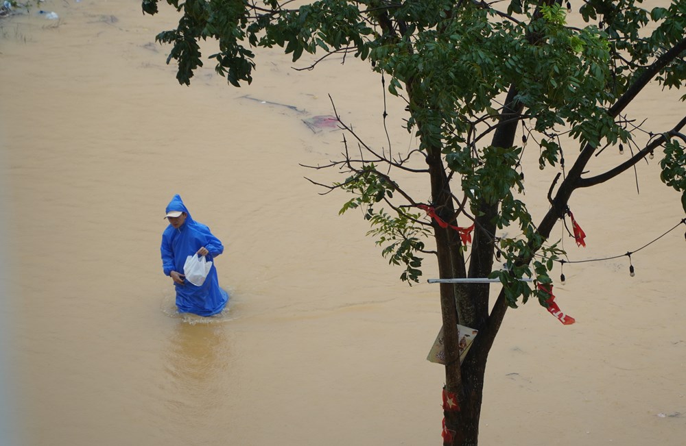 Sông Hương và sông Bồ vượt báo động 3, dừng đón khách tham quan di tích Huế - ảnh 3