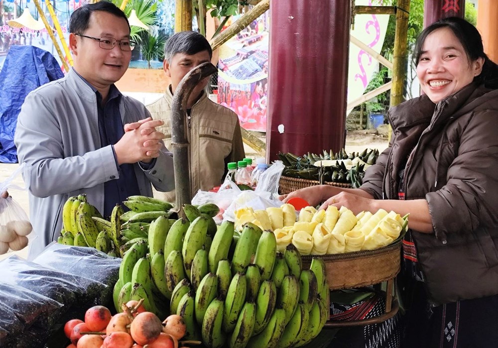 Trồng cuối già lùn tạo sinh kế bền vững cho đồng bào vùng cao A Lưới - ảnh 3