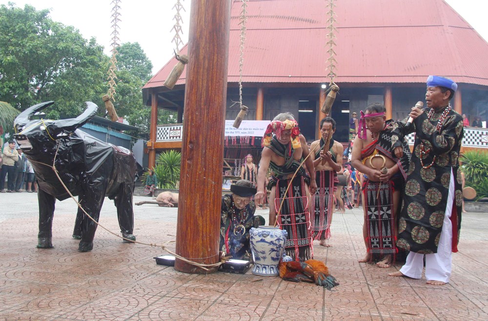 Bảo tồn Lễ hội Mừng lúa mới của người Cơ Tu để phát triển du lịch miền núi - ảnh 2