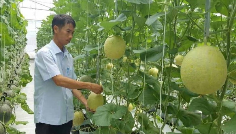 TP. Huế: Giảm nghèo nhờ những mô hình sinh kế bền vững - ảnh 3