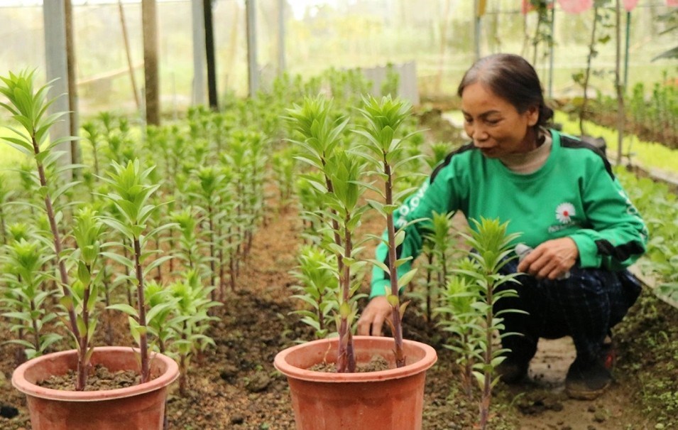 Đưa thông tin đến với nông dân, tạo động lực giảm nghèo bền vững - ảnh 4
