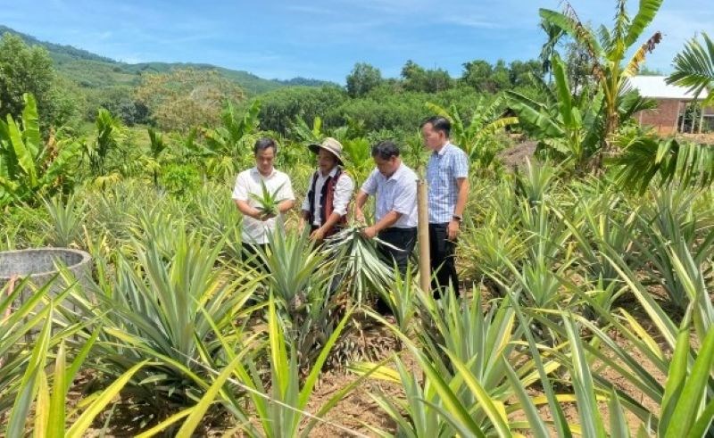 Đưa thông tin đến với nông dân, tạo động lực giảm nghèo bền vững - ảnh 1