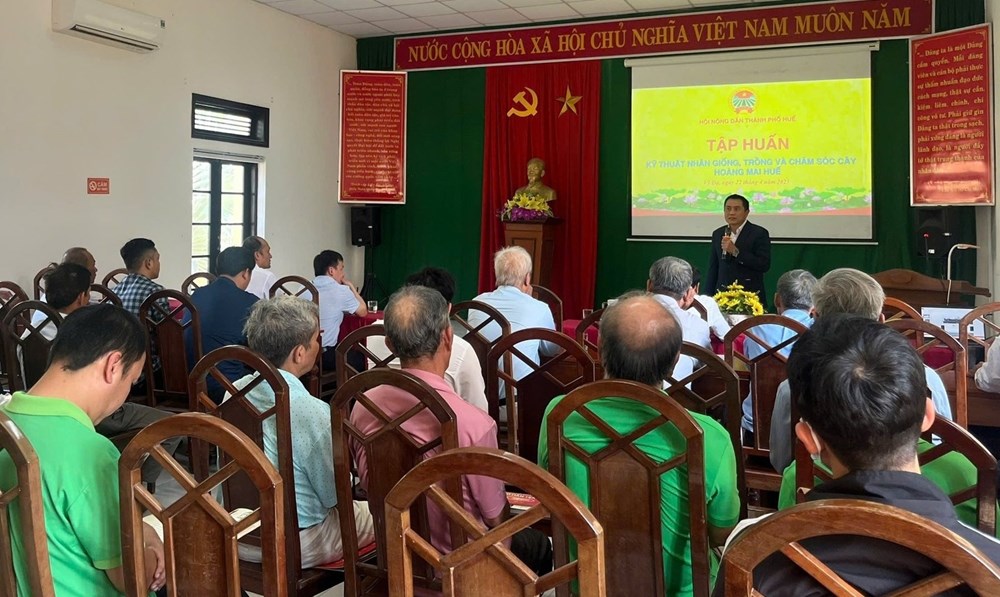 Đưa thông tin đến với nông dân, tạo động lực giảm nghèo bền vững - ảnh 3