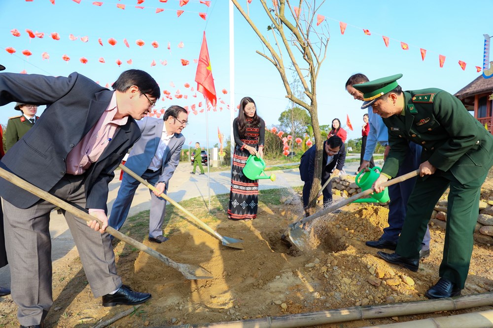 SODI hỗ trợ trồng tre ở vùng nguy cơ sạt lở tại miền núi TP. Huế - ảnh 2