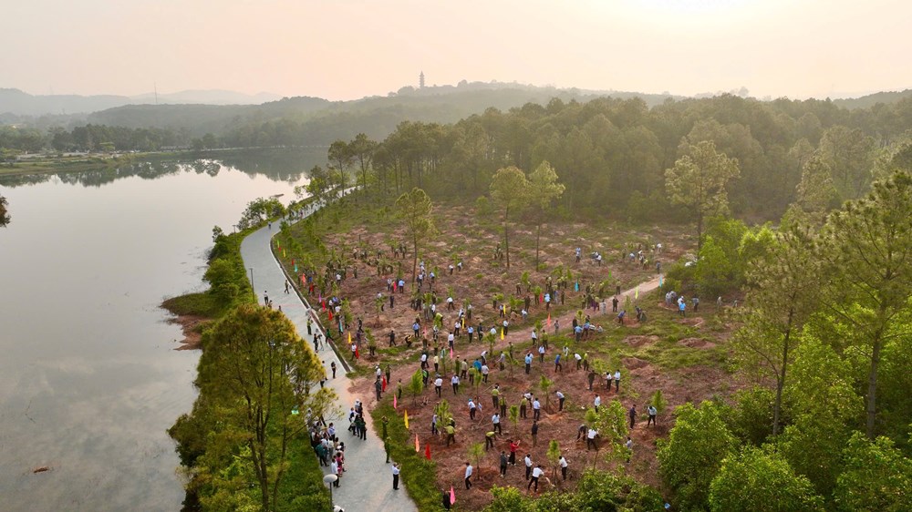 Trồng cây xanh tạo không gian sinh thái ở hồ Thủy Tiên - ảnh 2