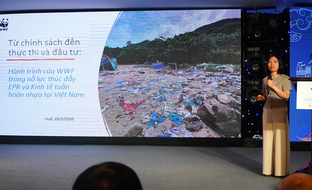 Kết nối chính sách và thực tiễn nhằm thúc đẩy giảm bao bì nhựa - ảnh 1