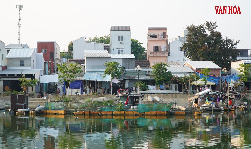 Nuôi cá lồng trái phép giữa trung tâm TP. Huế, nguy cơ hình thành xóm nhà chồ - ảnh 6