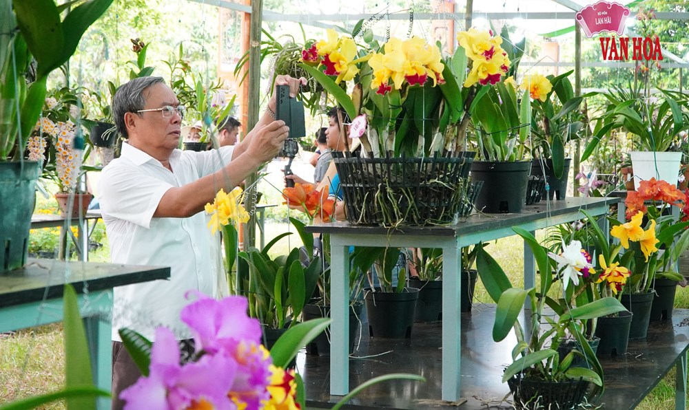 Hàng nghìn tác phẩm phong lan, cây kiểng ba miền hội tụ tại Đại Nội Huế - ảnh 8