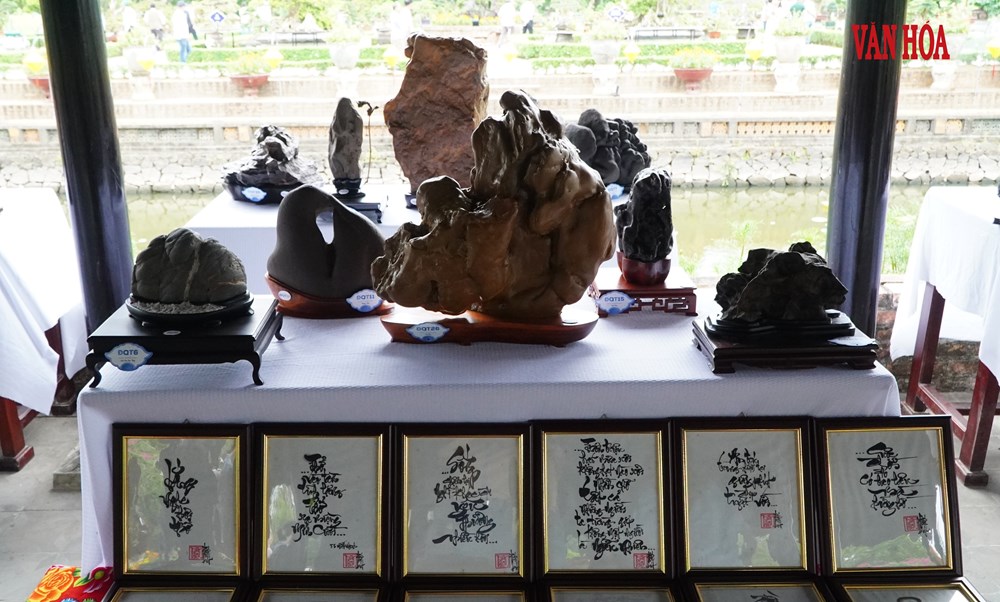 Hàng nghìn tác phẩm phong lan, cây kiểng ba miền hội tụ tại Đại Nội Huế - ảnh 10