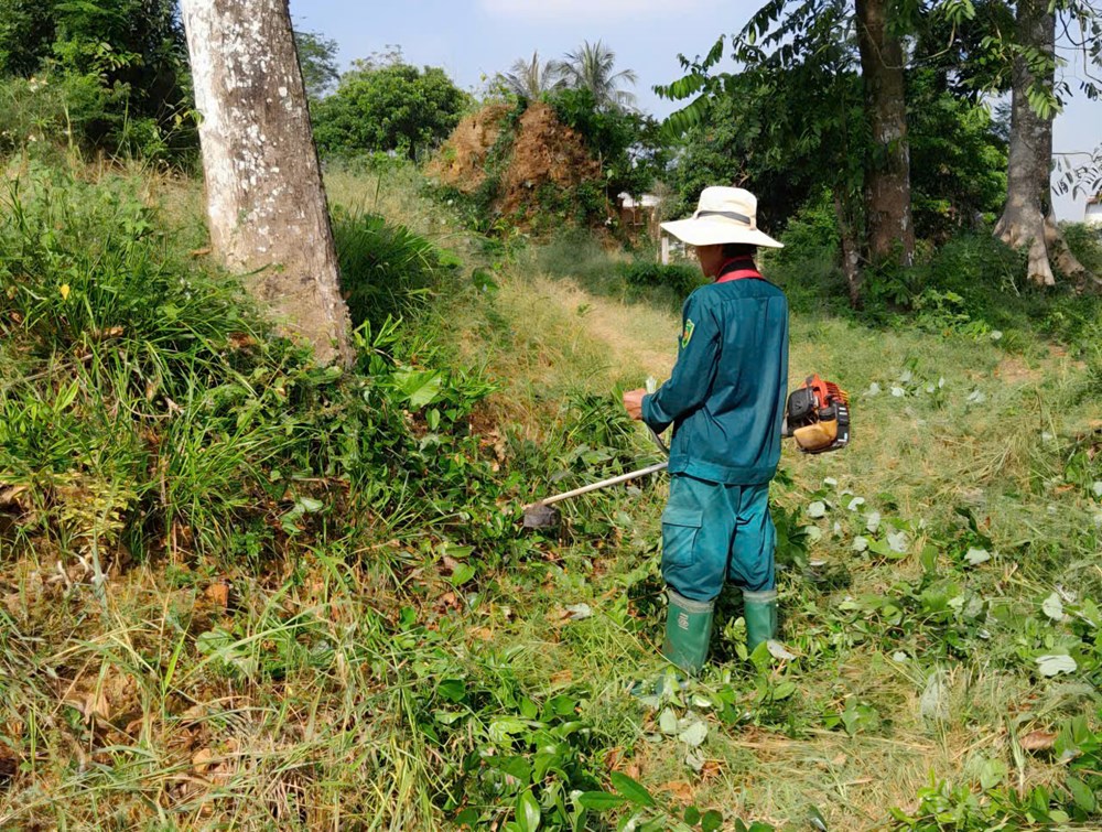 Di tích Chăm-pa nghìn năm tuổi dần hoang tàn chờ bảo tồn - ảnh 6