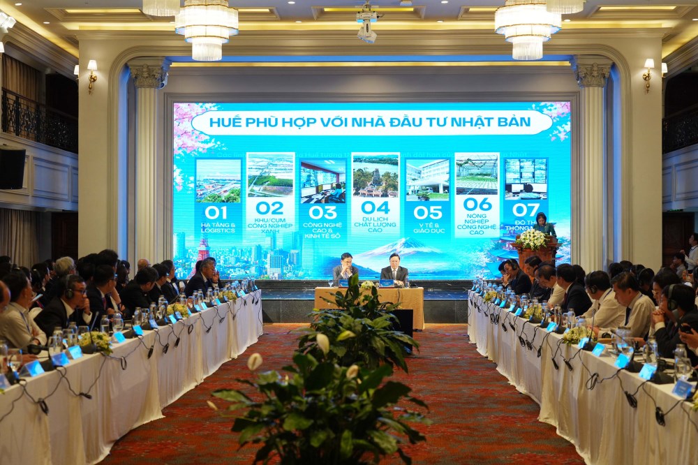 Huế tìm kiếm cơ hội hợp tác sâu rộng với các đối tác Nhật Bản - ảnh 2