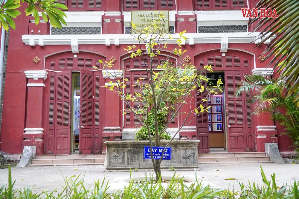 Trường Quốc Học Huế: 130 năm gìn giữ di sản, hun đúc nhân tài - ảnh 7