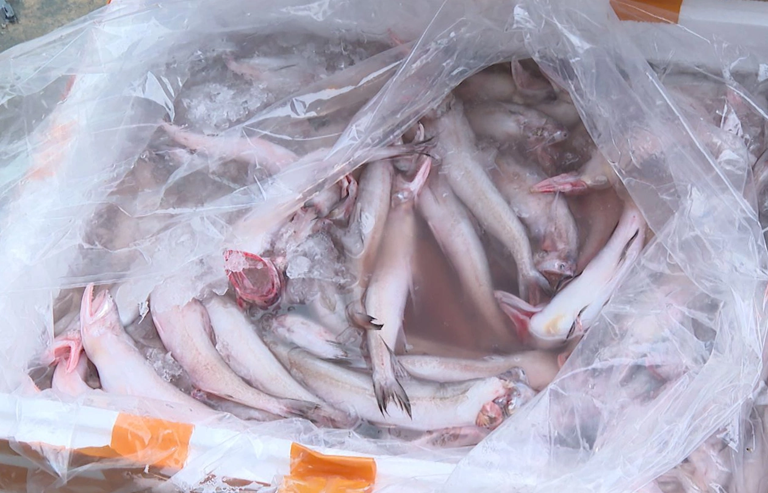 Hóa chất formol dùng trong thực phẩm nguy hại thế nào? - ảnh 1