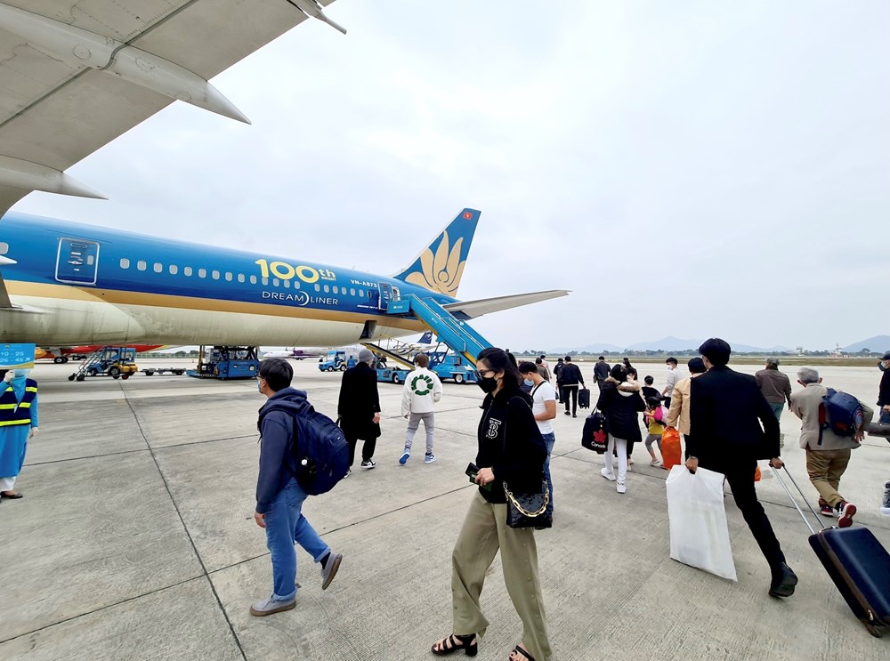 Nghịch lý vé Tết: Lượng chuyến bay tăng, giá vẫn cao - ảnh 1