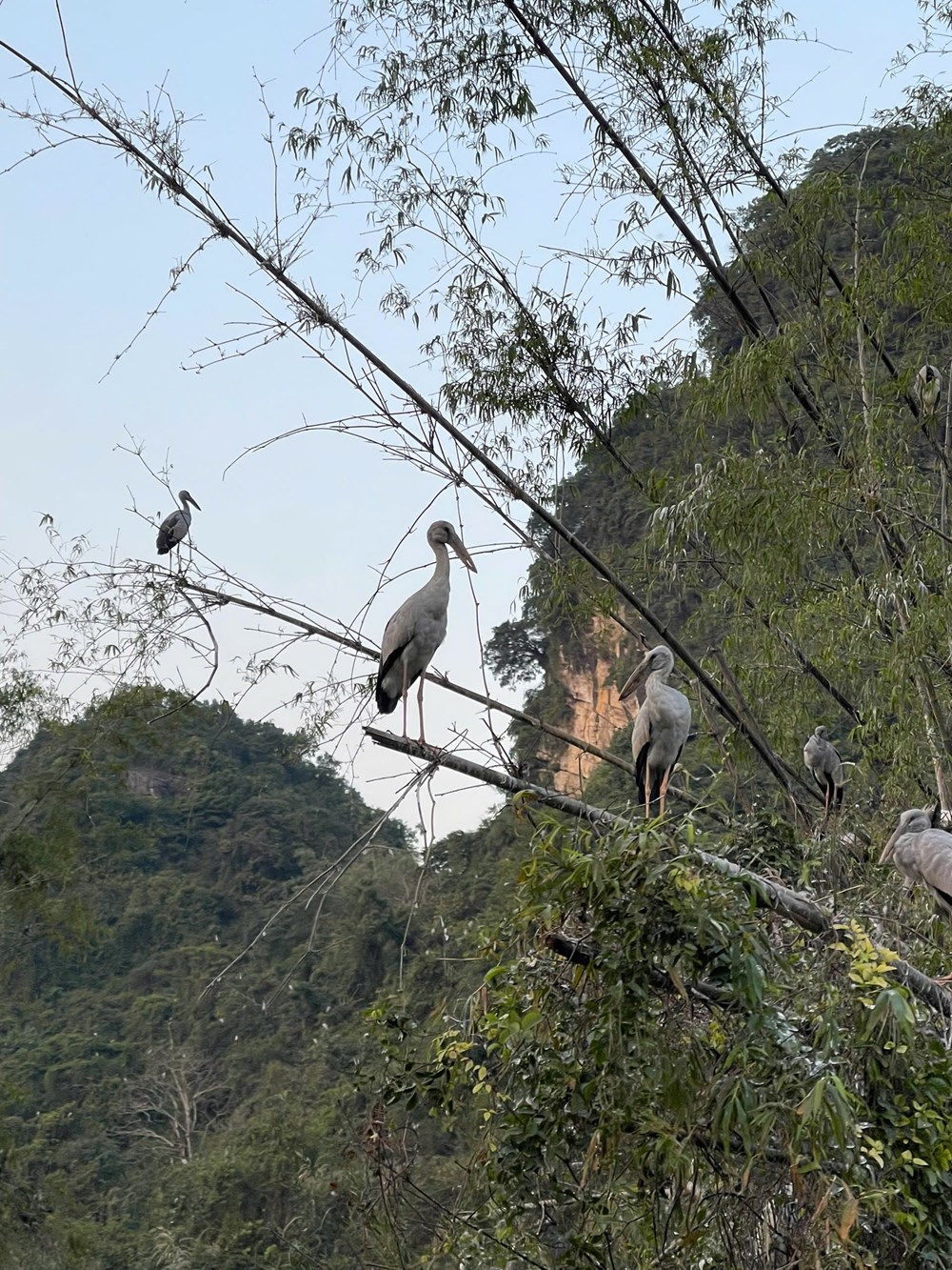 “Phượng Hoàng Cổ Trấn” giữa lòng Tràng An - ảnh 8