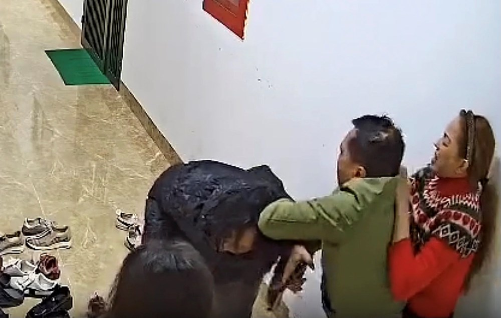 Sống bất an ở chung cư từ những điều tưởng như... nhỏ nhặt - ảnh 1