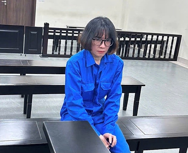 Lừa tiền tỷ từ dịch vụ mang thai hộ - ảnh 1