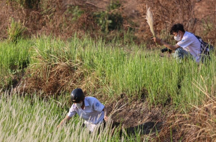 Check-in cánh đồng cỏ lau nở rộ: Điểm chụp “hot” nhất TP.HCM tháng này - ảnh 4