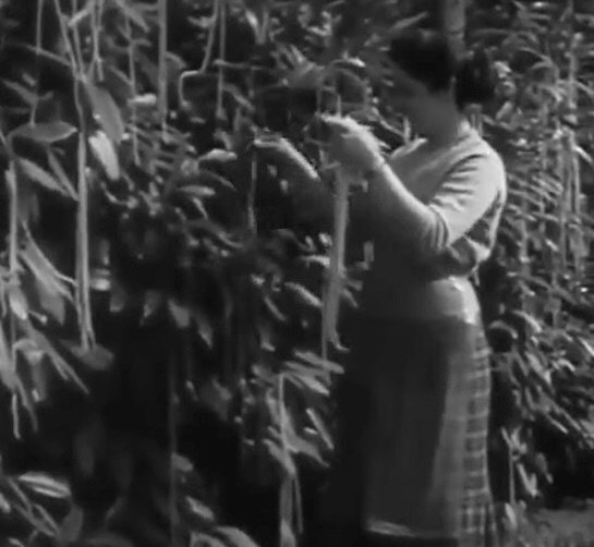 4 trò đùa Cá tháng Tư làm chấn động thế giới khiến cả triệu người “mắc bẫy” - ảnh 1