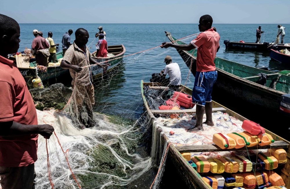 Ghé thăm hòn đảo chỉ rộng bằng nửa sân bóng, nuôi sống 1.800 người dân - ảnh 2