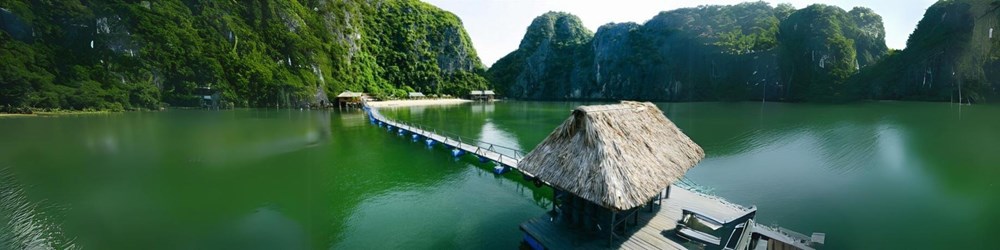 Vườn quốc gia Cát Bà – Tuyệt phẩm quên lối về - ảnh 5