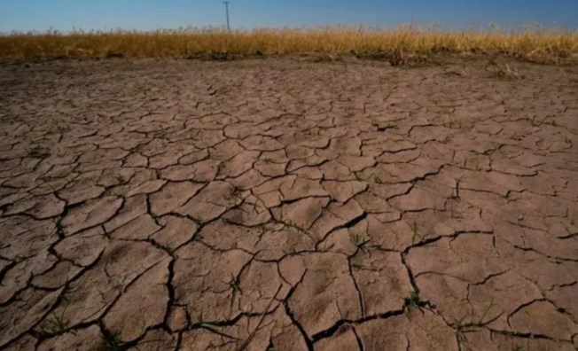 New Zealand xác nhận El Niño mạnh: Châu Á bước vào giai đoạn thời tiết cực đoan  - ảnh 1