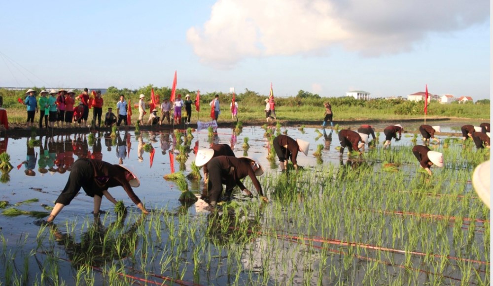 Lễ hội Xuống đồng ở Quảng Ninh: Gìn giữ di sản, gửi gắm ước vọng quốc thái dân an - ảnh 1
