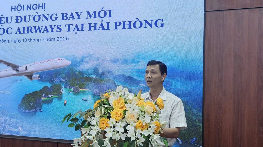 Hải Phòng hợp tác mở đường bay, thúc đẩy quảng bá du lịch - ảnh 2