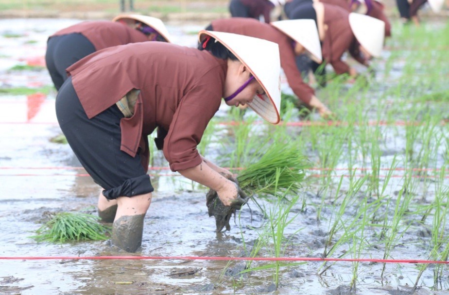 Quảng Ninh: Khai mạc Lễ hội xuống đồng, khơi dậy tinh thần đoàn kết - ảnh 2
