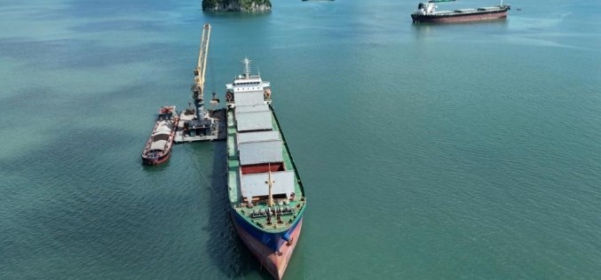 Vận hành tuyến thương mại biên giới Quảng Ninh - Quảng Tây cách nào hiệu quả? - ảnh 1
