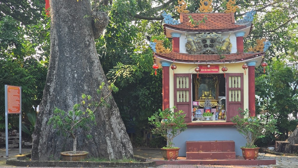 Hải Phòng: Đền Vạn Chài thờ Tứ vị Thánh Nương - các vị thần nữ ở cửa sông biển - ảnh 3