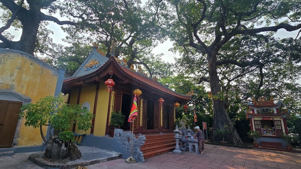 Hải Phòng: Đền Vạn Chài thờ Tứ vị Thánh Nương - các vị thần nữ ở cửa sông biển - ảnh 4