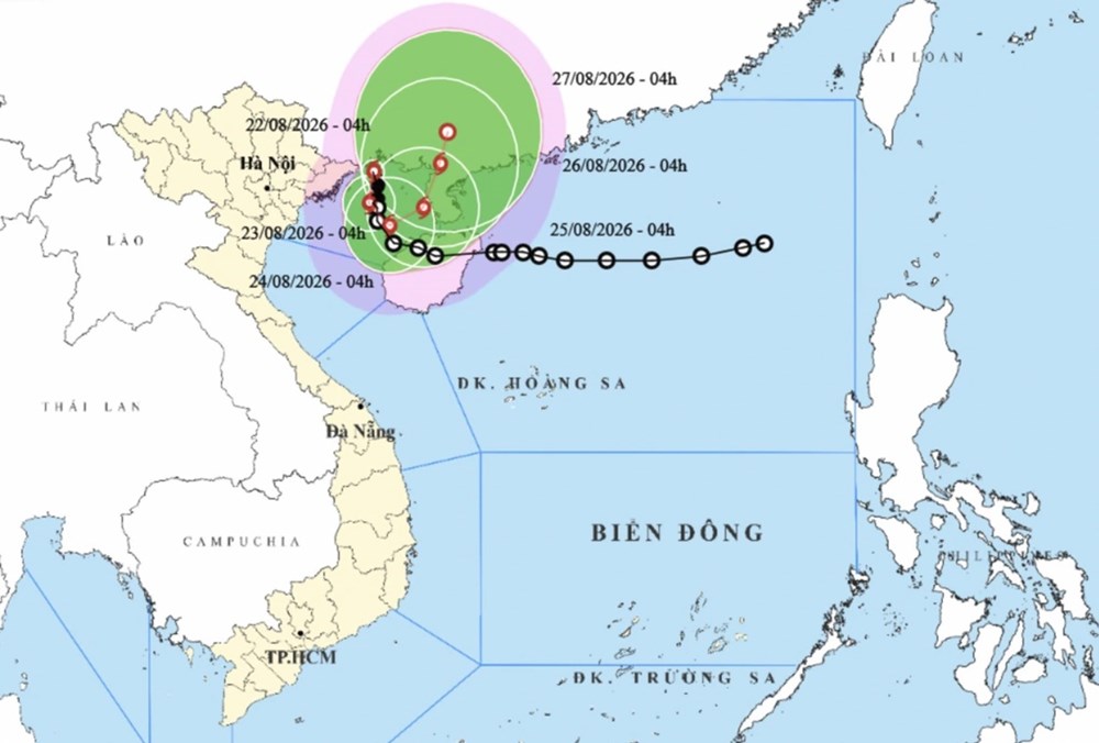 Hải Phòng, Quảng Ninh tạm dừng hoạt động tàu thuyền trên biển để ứng phó bão số 4 - ảnh 1