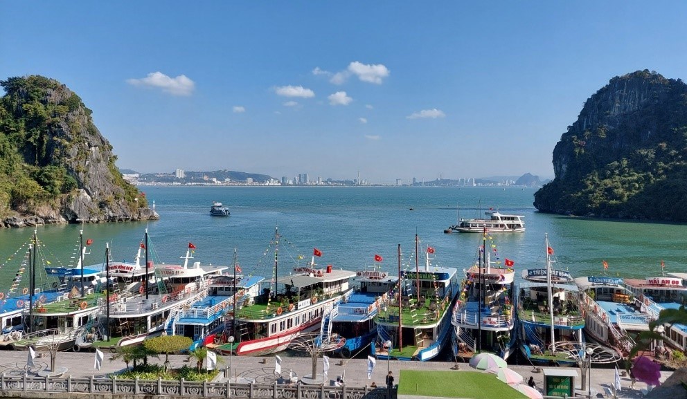 Hải Phòng, Quảng Ninh tạm dừng hoạt động tàu thuyền trên biển để ứng phó bão số 4 - ảnh 2
