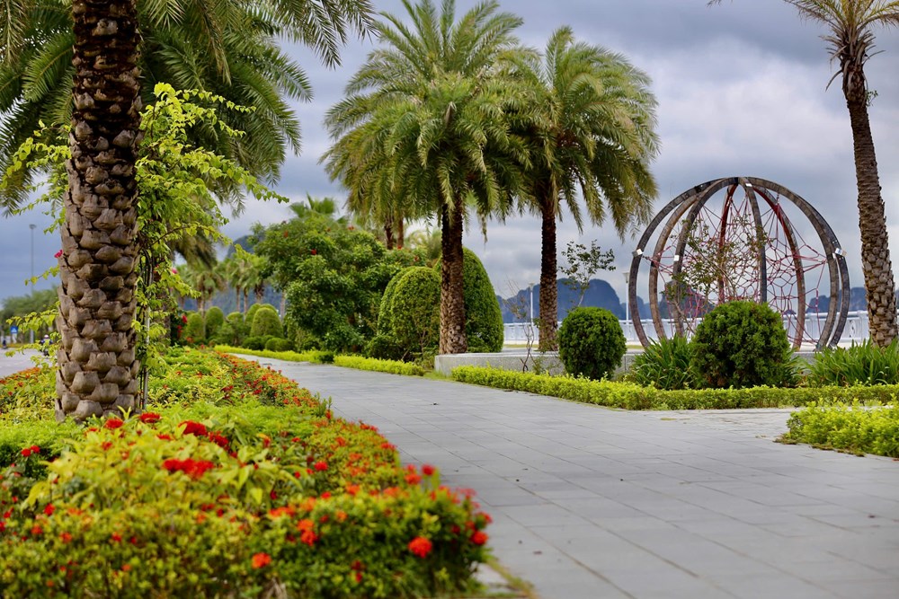 Quảng Ninh rực rỡ cờ hoa chào đón thời khắc ý nghĩa, mở ra hành trình mới - ảnh 5