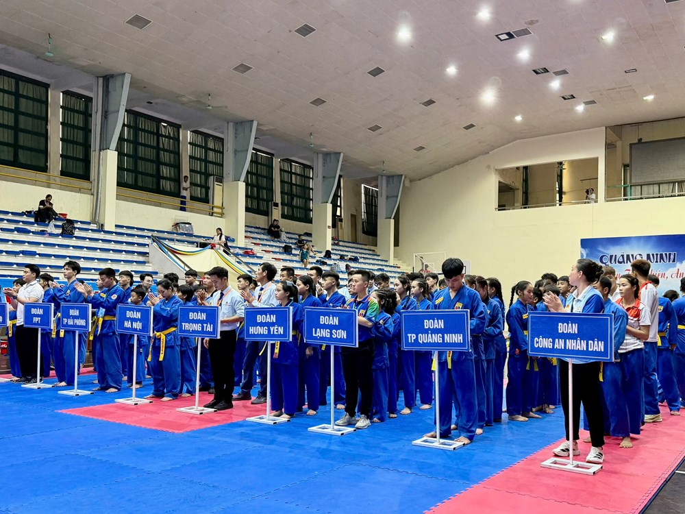 Quảng Ninh: Hơn 200 VĐV tranh tài Giải Vô địch Vovinam miền Bắc lần thứ III - ảnh 1