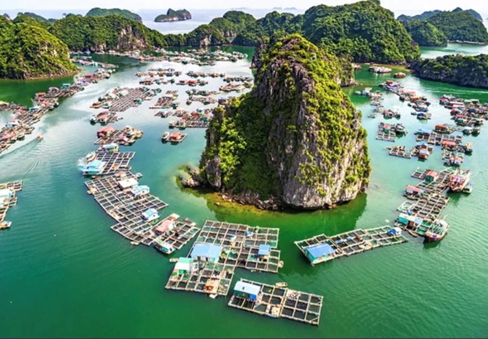 Hát giao duyên - nét văn hóa đặc sắc tại làng chài Cửa Vạn trên Vịnh Hạ Long - ảnh 4