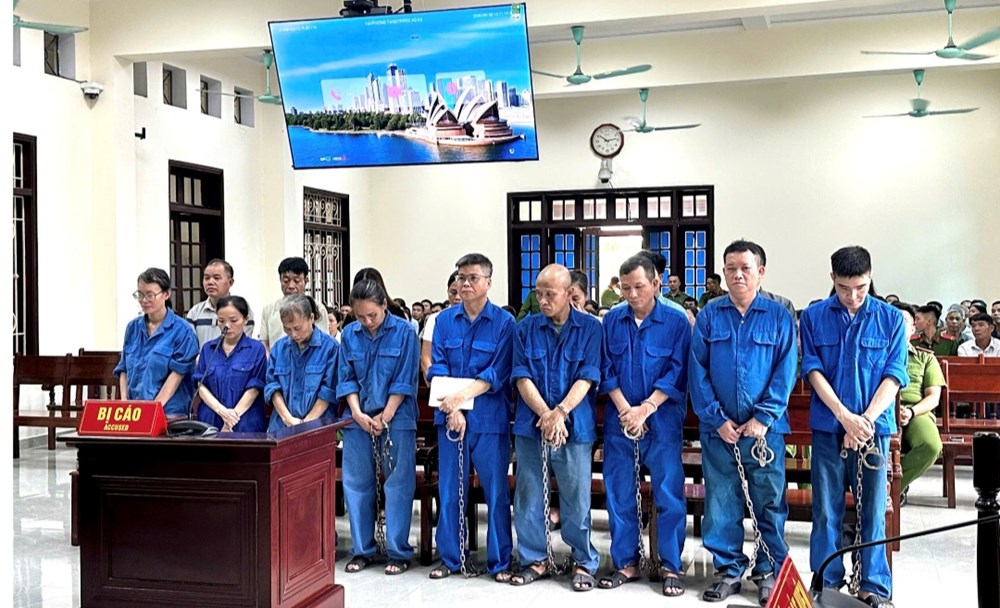 Nguyên TGĐ Công ty CP Đồ hộp Hạ Long bị tuyên phạt 19 năm tù - ảnh 1